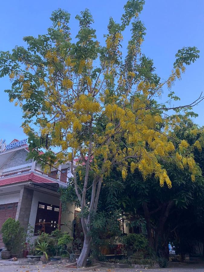 Hoa Bien Guesthouse 美奈 外观 照片